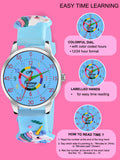 Fluid Junior Time Teacher Collection 15