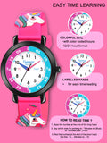 Fluid Junior Time Teacher Collection 8