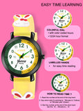 Fluid Junior Time Teacher Collection 5